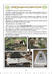 PAGE 35 CSCO